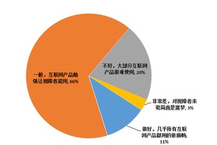 消除數字鴻溝 國內互聯網無障礙水平尚待提高