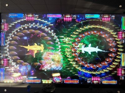 電玩設備新視角 六盤水高速“捕魚”玩家引領行業娛樂新模式——訪廣州市新世紀科技